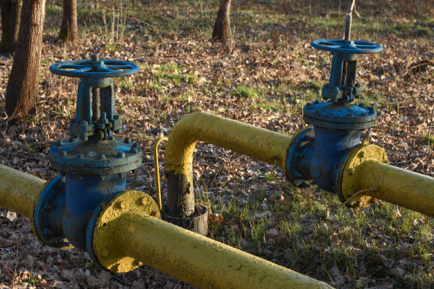 Old gas pipes with large overlapping taps are laid underground in the yard. Premium Photo